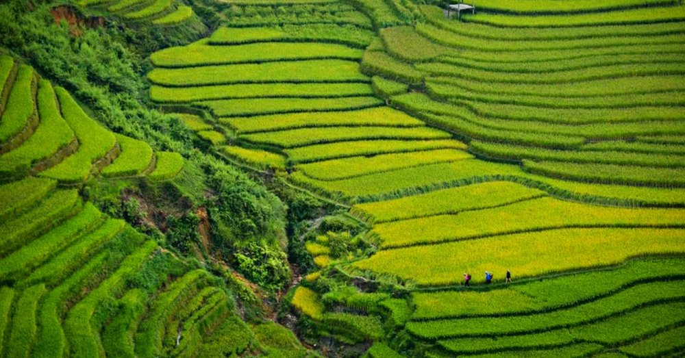 du-lich-tay-bac-5-ngay-4-dem