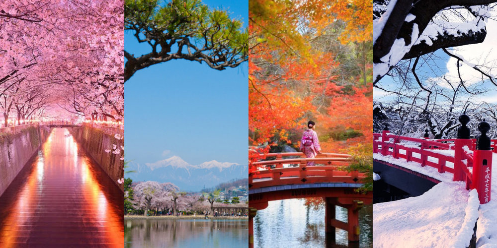 สถานที่เที่ยวยอดนิยมของ แต่ละฤดูกาลในญี่ปุ่น | รูปภาพจาก www.akerufeed.com