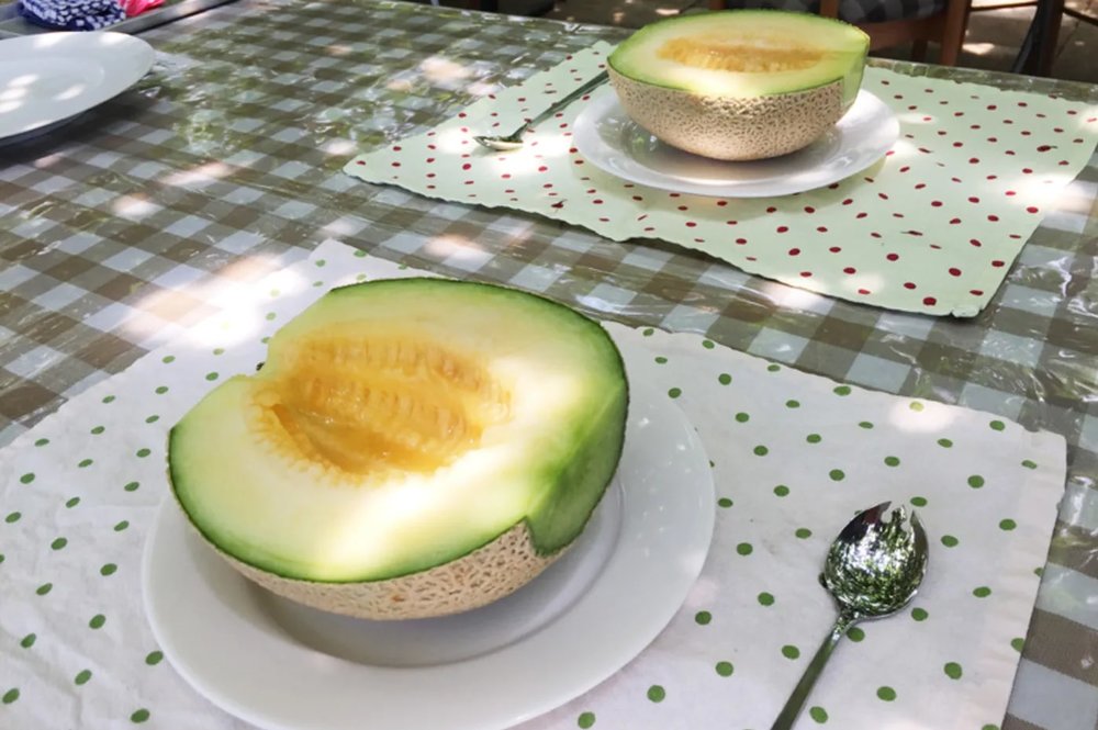 มัสเมล่อนหวานฉ่ำ ผลไม้ที่ได้รับความนิยมที่สุดในญี่ปุ่น | รูปภาพจาก www.japan.travel