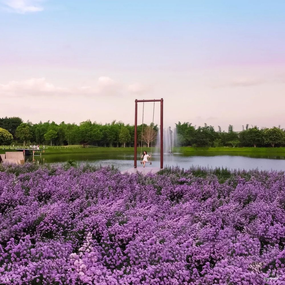 things to do in bangkok