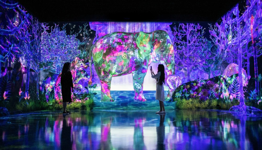 在“捕捉蒐集森林”運用手機APP捕捉和釋放在空間中行走的動物們。