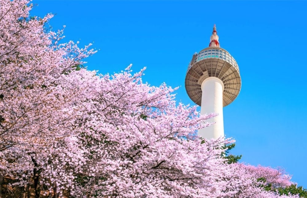 ขอบคุณภาพ นัมซานทาวเวอร์จาก: Thai Travel Center