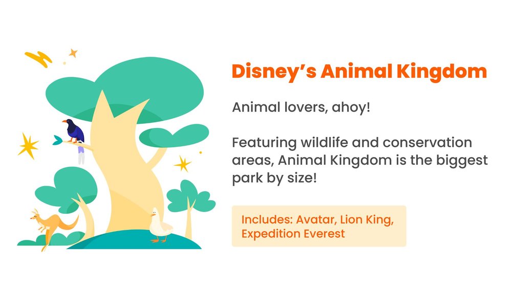 Disney’s Animal Kingdom klook 