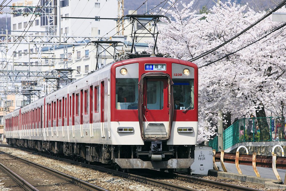 Kintetsu Rail Pass Train