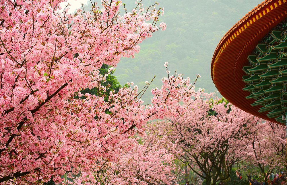 ขอบคุณภาพจาก: เที่ยว ที่ไหน เมื่อไหร่ สไตล์ไหน