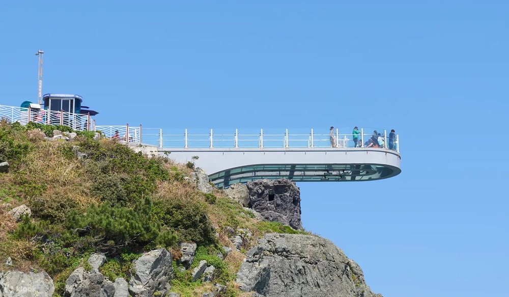 Cầu Kính Busan: Cảm Giác "Bay Lượn" Trên Đại Dương