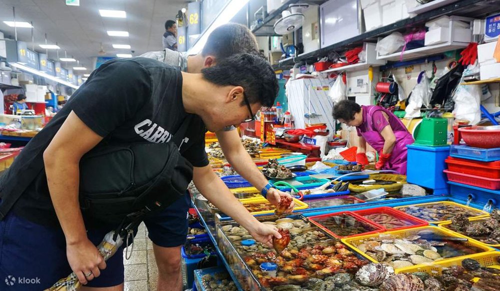 Chợ Cá Jagalchi: "Thiên Đường" Hải Sản Tươi Sống & Ẩm Thực Đường Phố