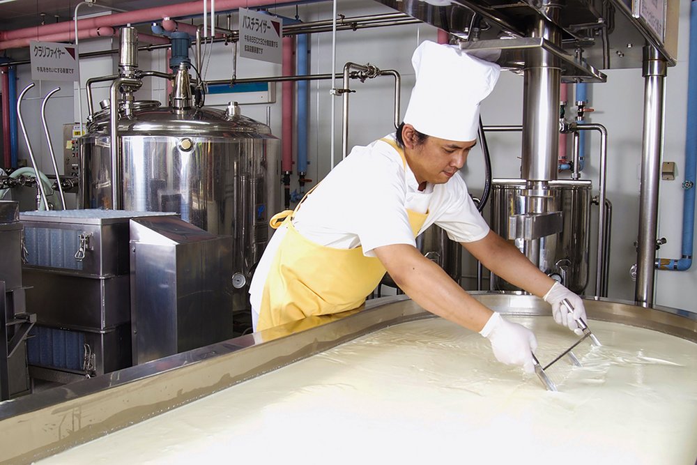 Furano Cheese Factory