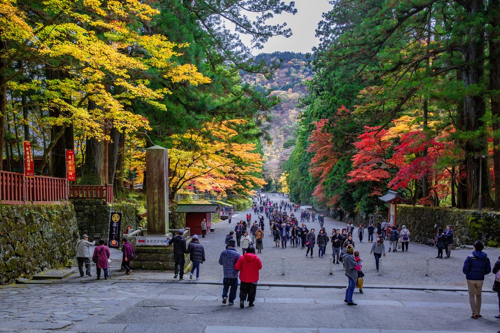 people walking along a wide road with autumn-colored trees on both sides