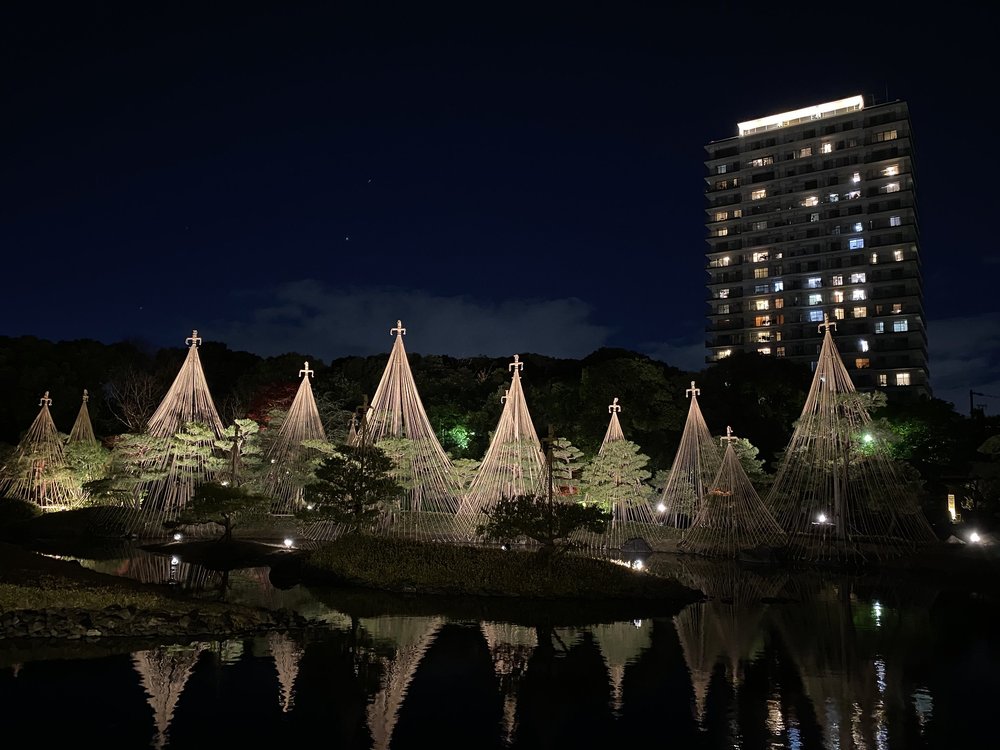  名古屋賞櫻白鳥庭園
