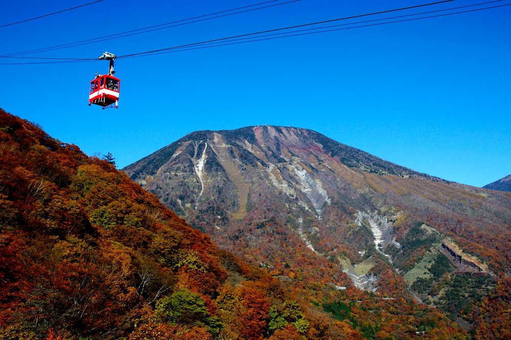 cable car high up with blue skies, autumn-colored trees, and a somewhat snowy mountain in the back
