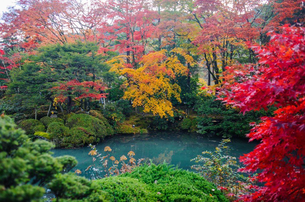 Your Guide to Nikko, Japan: Where to Go Using the NIKKO PASS - Klook ...