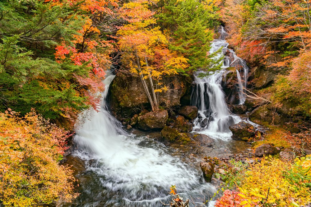 a double waterfall surrounded by trees in autumn colours