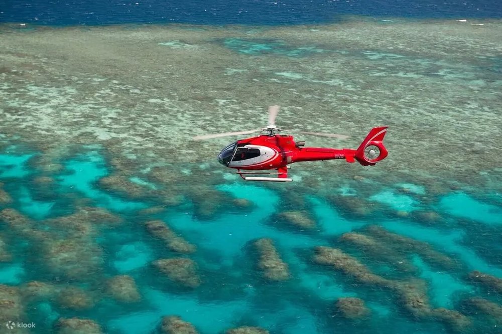 昆士蘭景點推介 大堡礁浮潛+潛水+直升機飛行一日遊