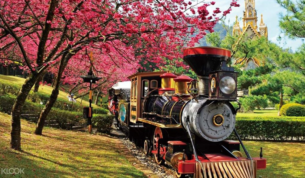 hoa-anh-dao-dai-loan