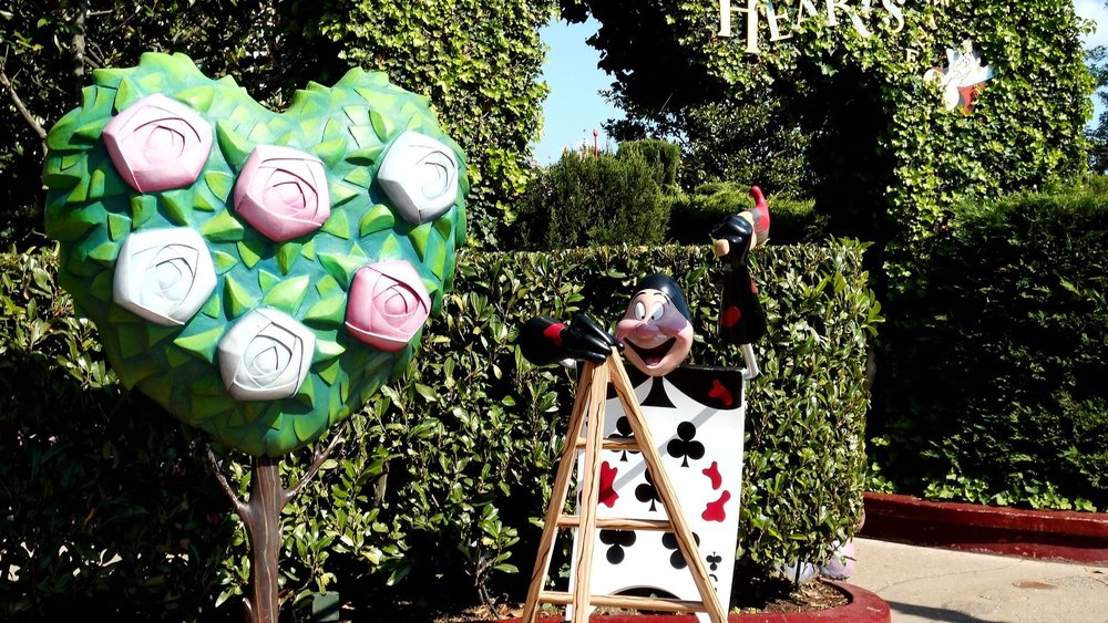 hedge maze at Alice’s Curious Labyrinth