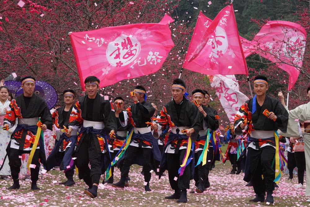Formosan cherry blossom festival 5