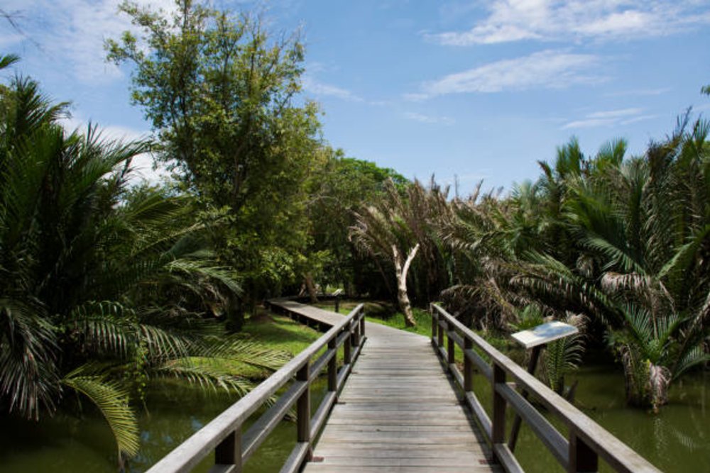 ขอบคุณรูปภาพจาก tuayai l ที่เที่ยวใกล้เมืองกรุง เส้นทางการเดินทางง่ายสะดวกมากๆ ฉบับวันเดียวเที่ยวได้ 