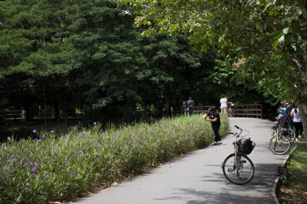 ขอบคุณรูปภาพจาก tuayai l ที่เที่ยวใกล้เมืองกรุง เส้นทางการเดินทางง่ายสะดวกมากๆ ฉบับวันเดียวเที่ยวได้ 