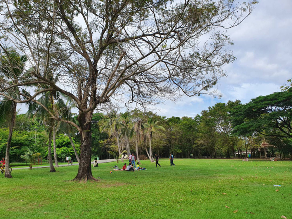 ขอบคุณรูปภาพจาก Readme before you journey l สวนสาธารณะและสวนพฤกษชาติ ศรีนครเขื่อนขันธ์ 