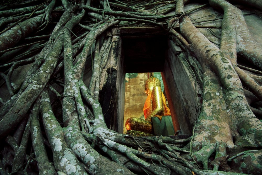 ขอบคุณรูปภาพจาก CBT Thailand 