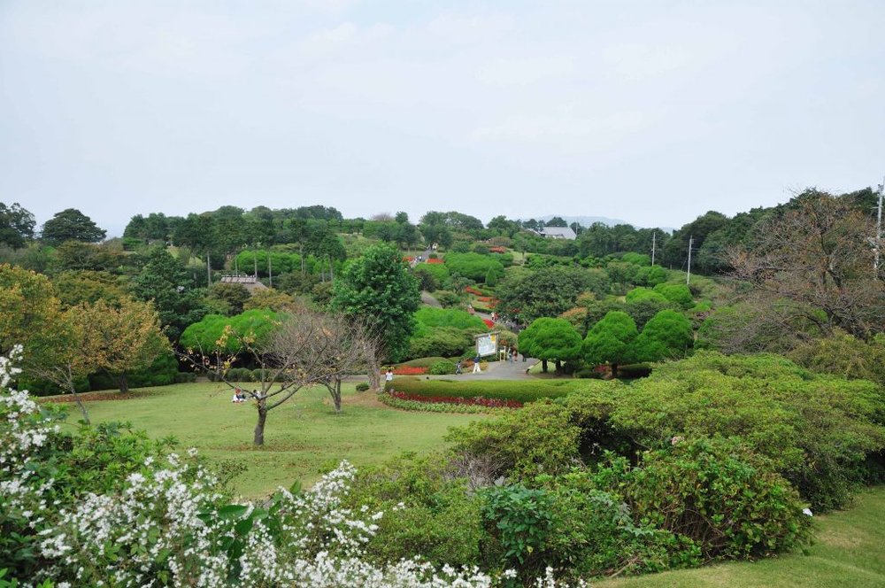 สวนสาธารณะเกาะโนโคโนะชิมะ สถานที่ท่องเที่ยวแบบธรรมชาติในฟุกุโอกะ