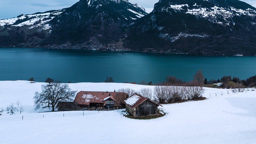 view of Lake of Thun