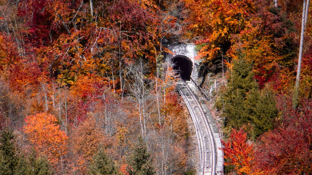 Mountain railroad surrounded by colorful trees in Interlaken