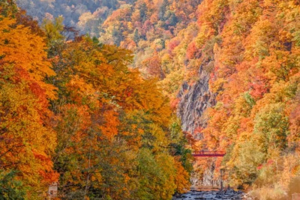 ขอบคุณรูปภาพจาก ChillChillJapan