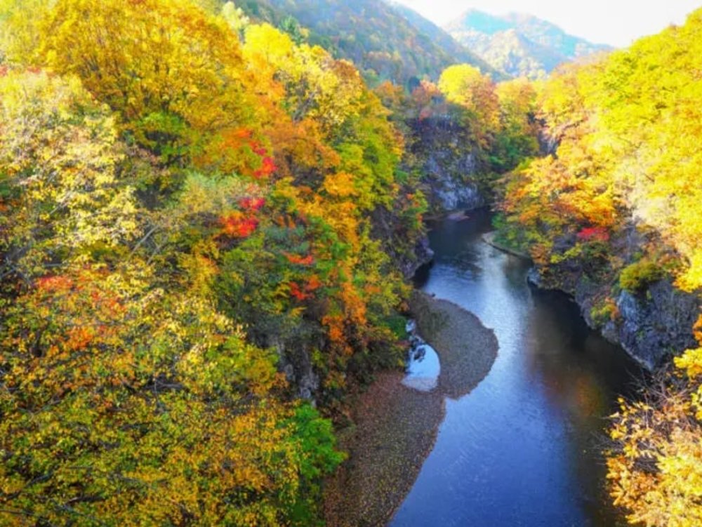 ขอบคุณรูปภาพจาก ChillChillJapan