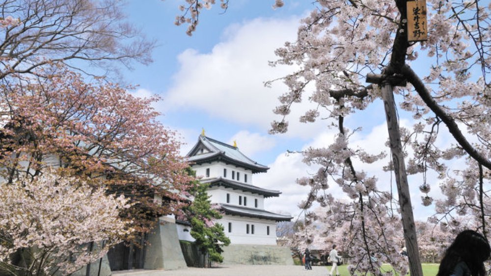 ขอบคุณรูปภาพจาก ikidane-nippon.com