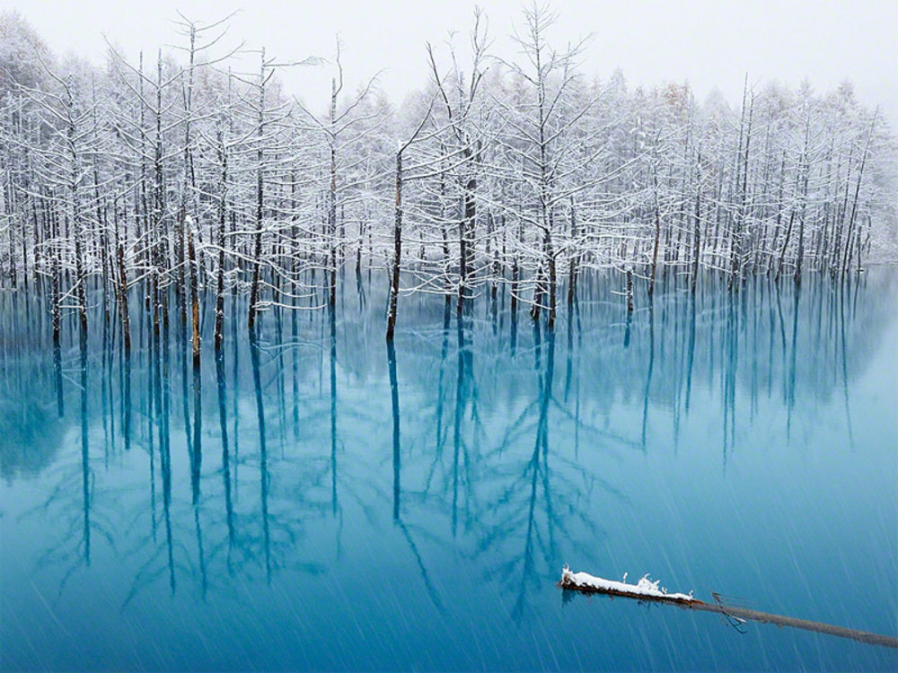 ขอบคุณรูปภาพจาก Mthai.travel l Blue Pond บ่อน้ำสีฟ้าสดใส ที่เที่ยวญี่ปุ่น แหล่งที่ยอดฮิตของเมืองบิเอะ 