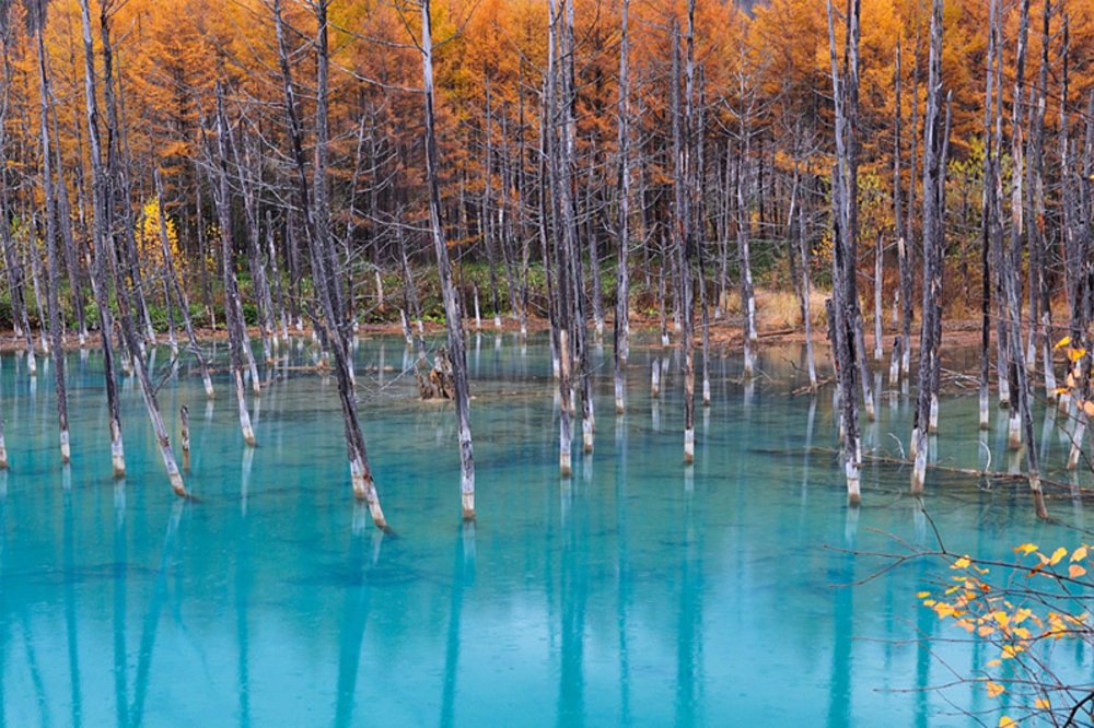 ขอบคุณรูปภาพจาก Mthai.travel l Blue Pond บ่อน้ำสีฟ้าสดใส ที่เที่ยวญี่ปุ่น แห่งเมืองบิเอะ