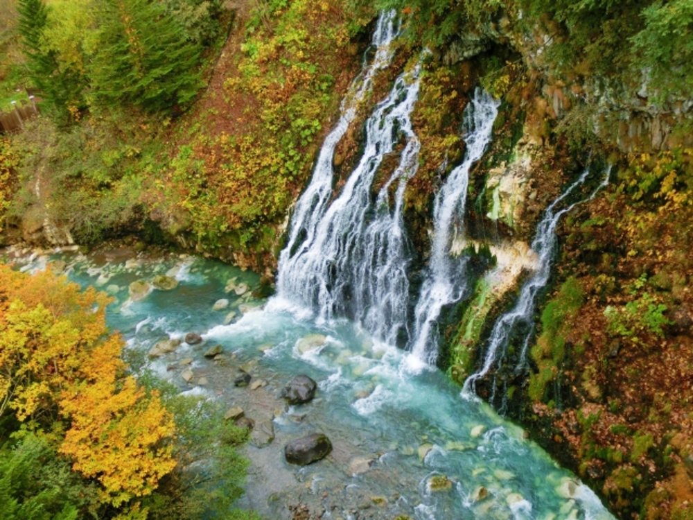 ขอบคุณรูปภาพจาก JapanCheckin.com