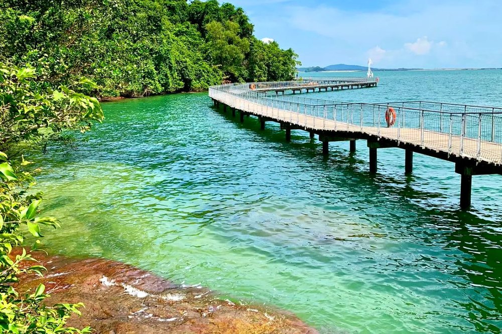 Tour Đi Thuyền Kayak Quanh Đảo Pulau Ubin Singapore