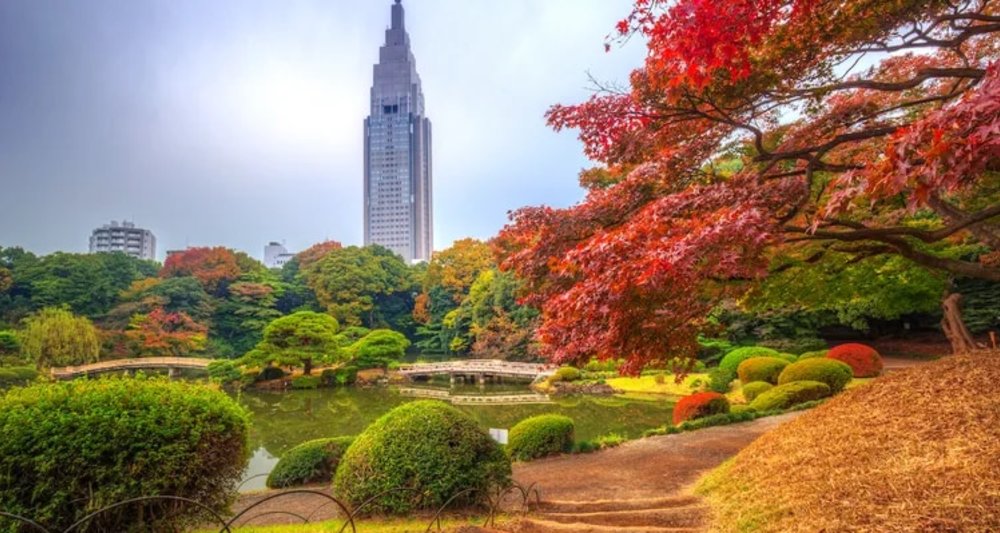 สวนชินจูกุเกียวเอ็น - Shinjuku Gyoen National Garden
