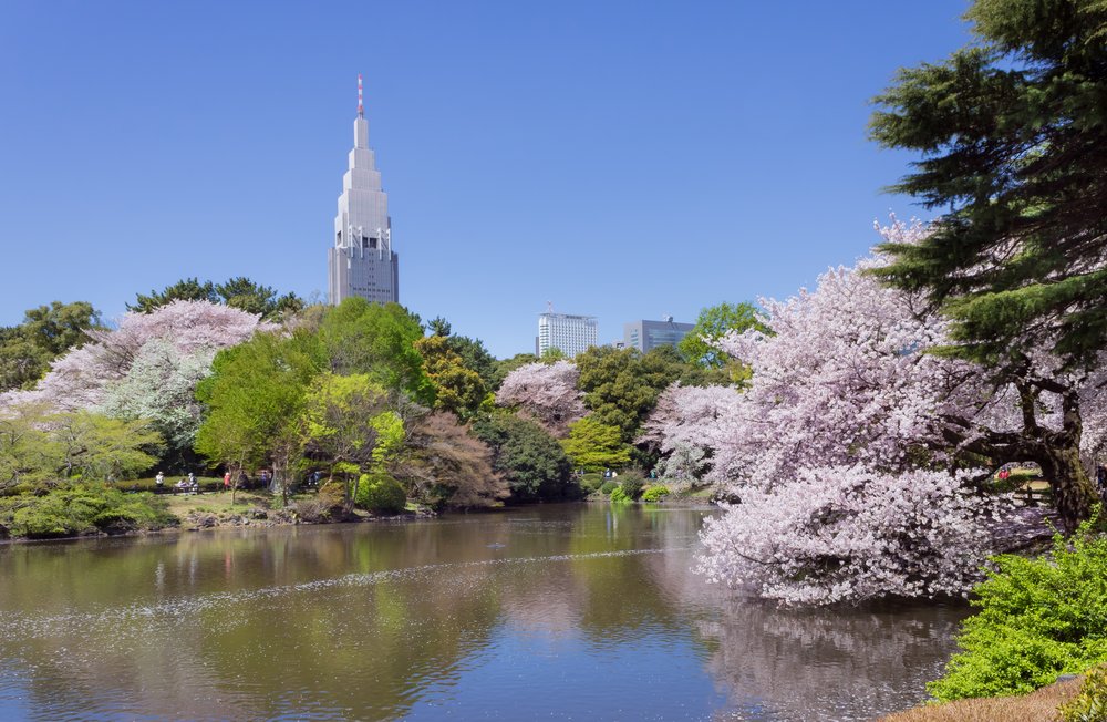 สวนชินจูกุเกียวเอ็น - Shinjuku Gyoen National Garden