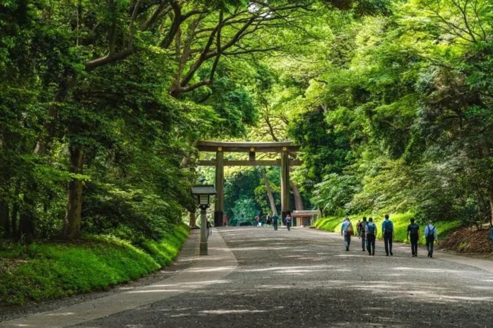 ศาลเจ้าเมจิ - Meiji Shrine