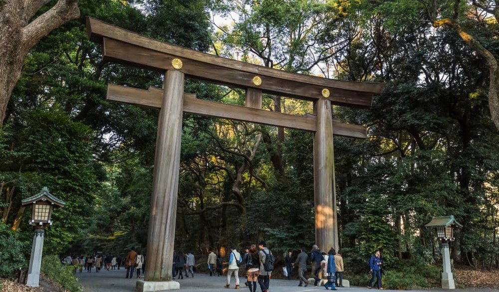 ศาลเจ้าเมจิ - Meiji Shrine。明治神宮大鳥居
