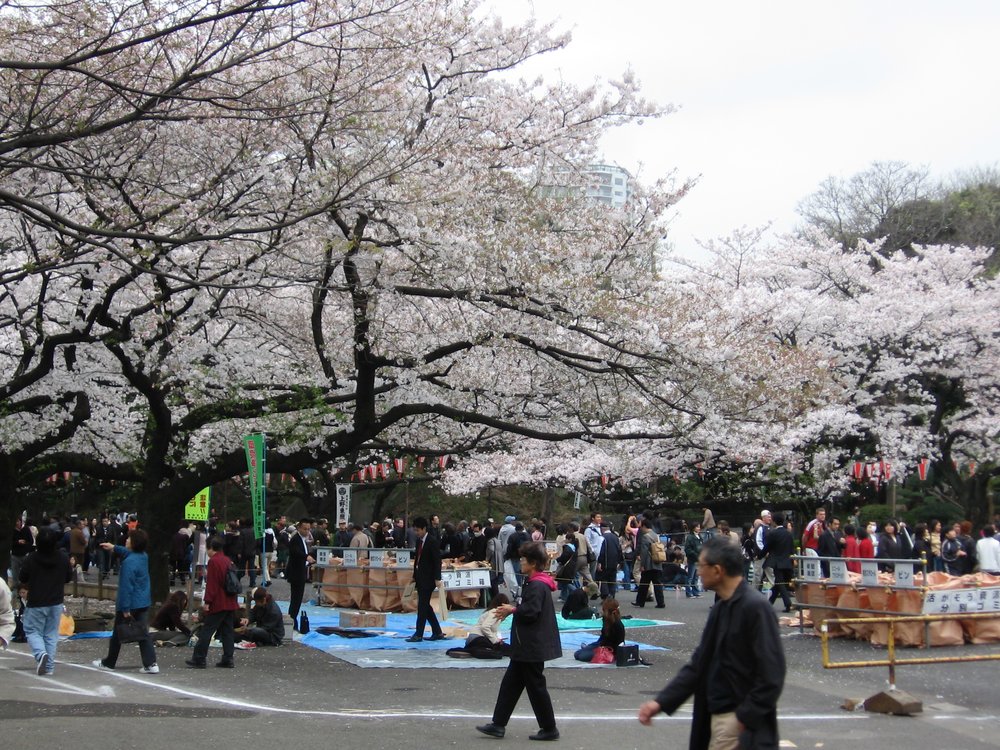 Ueno Park ในช่วงฤดูใบไม้ผลิ