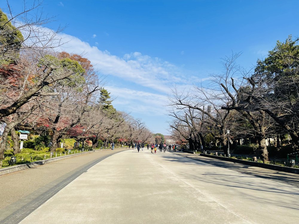 ที่เที่ยว Ueno Zoo