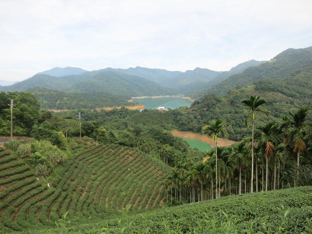 台北景點, 台北夜市, 台北美食, 台北好去處, 貓空木柵觀光茶園