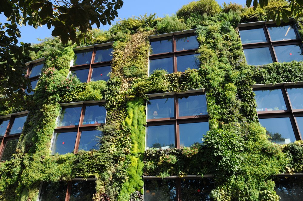 the living walls of Musée du quai Branly