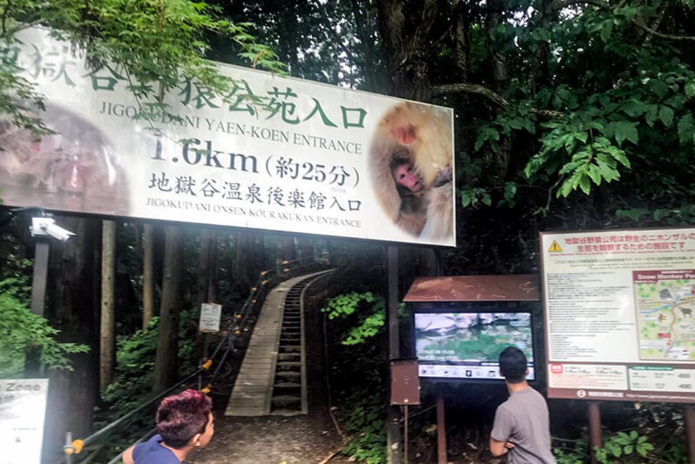 ที่เที่ยวญี่ปุ่น สวนลิงจิโกคุดานิ (Jigokudani Monkey Park) | ขอบคุณรูปภาพจาก go-nagano.net