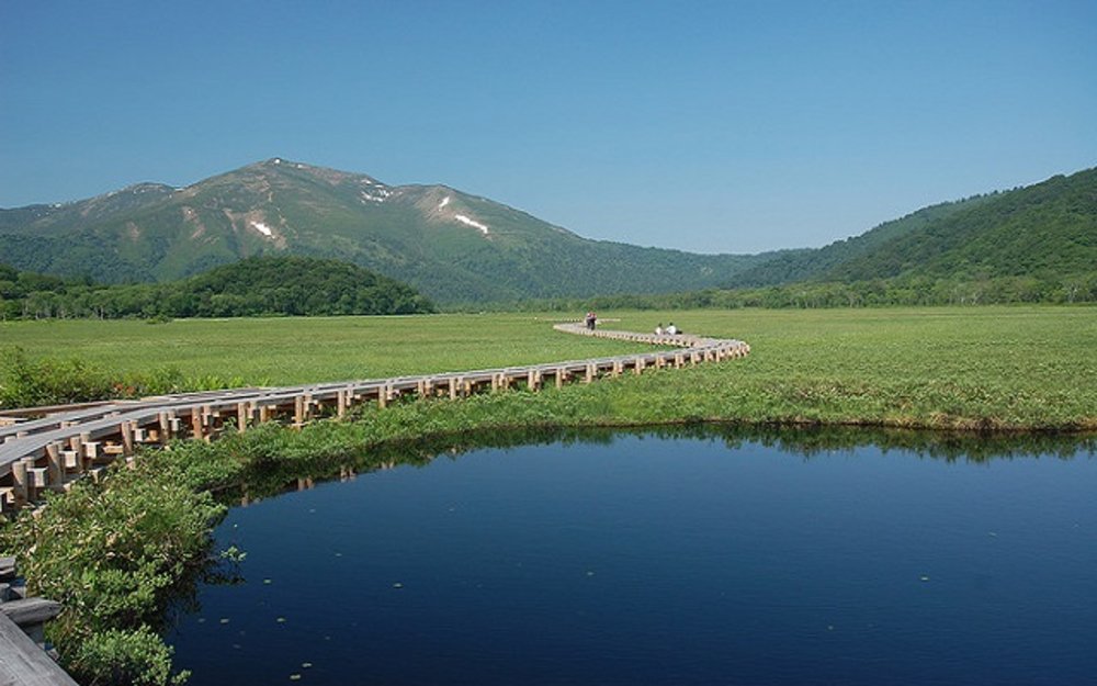 รูปภาพจาก Kapook.com