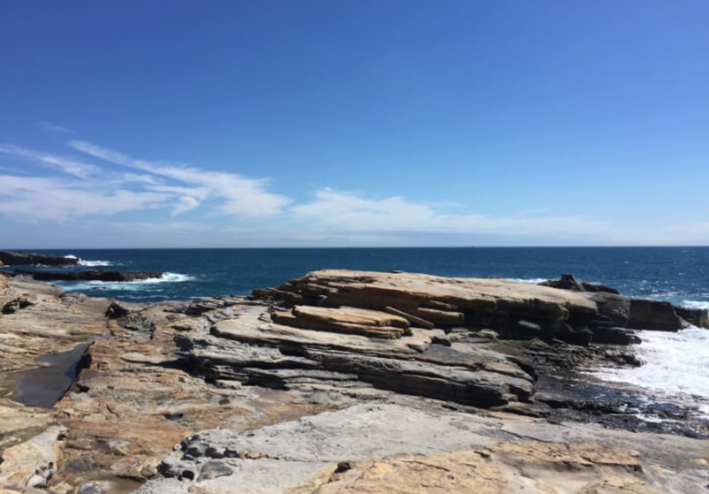 เซนโจจิคิ (Senjojiki Rock Plateau) | รูปภาพจาก jnto.or.th