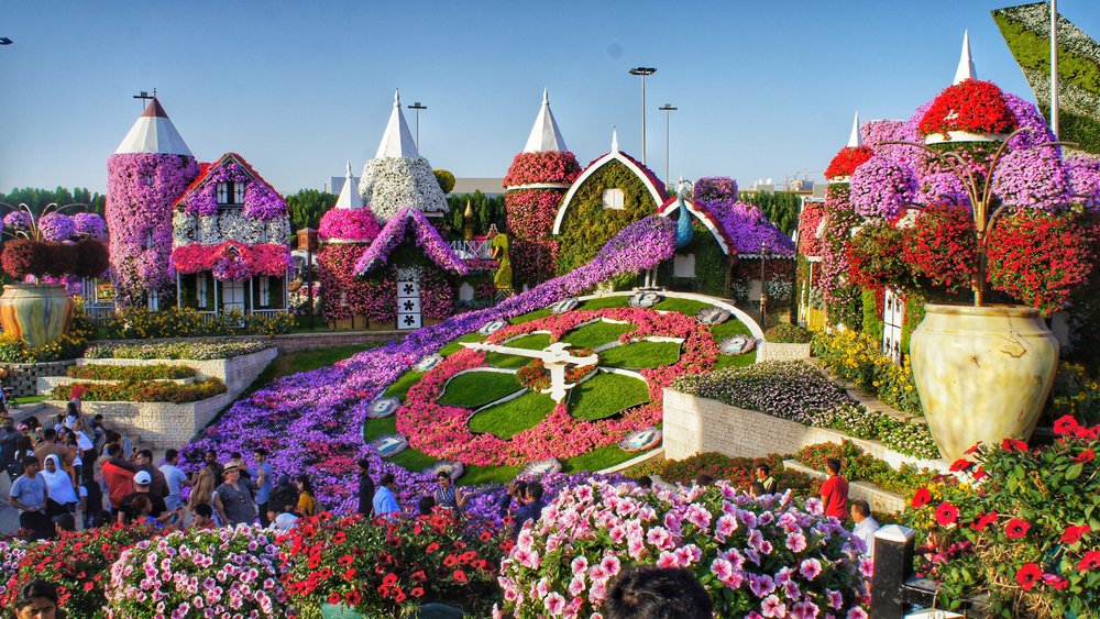 15-meter Floral Clock in Dubai Miracle Garden