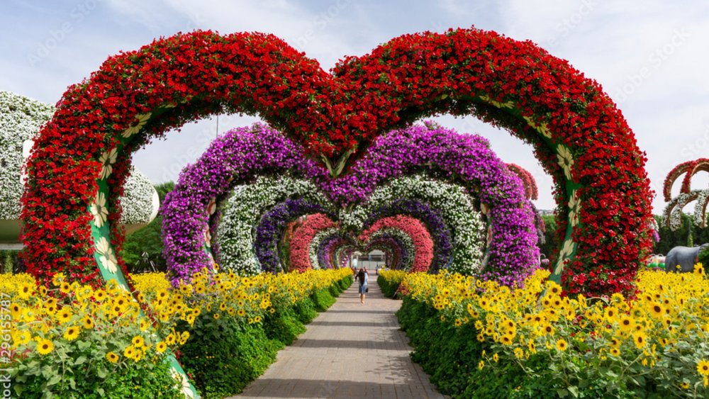 Important Things You Should Know Before Visiting Dubai Miracle Garden ...