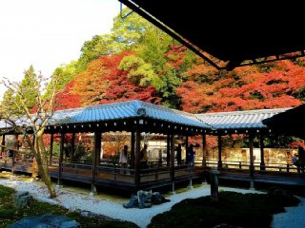 ขอบคุณรูปภาพจาก Tomoko Kamishima