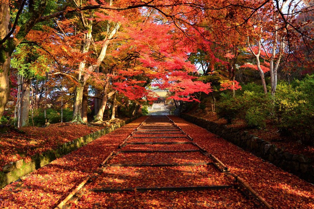 ขอบคุณรูปภาพจาก uncledoctorvacation